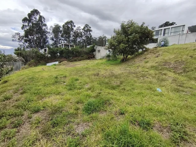 Scc. Venta Terreno de 563 m². Sector: San Patricio Alto. Cumbayá — imagen 3