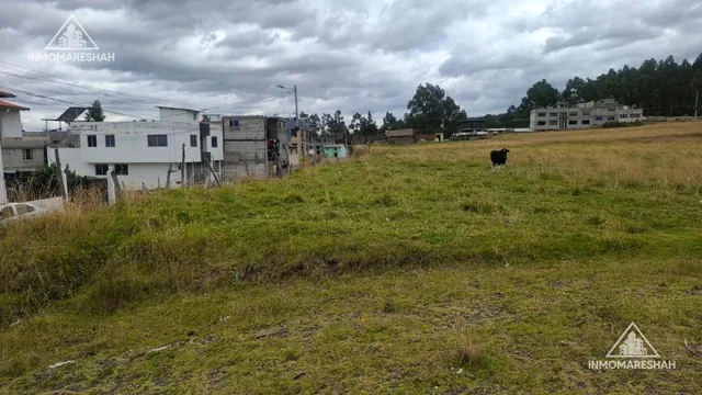 Terreno de Oportunidad de 8.000 m² en El Centro de Tabacundo | Ideal Para Inversión — imagen 4