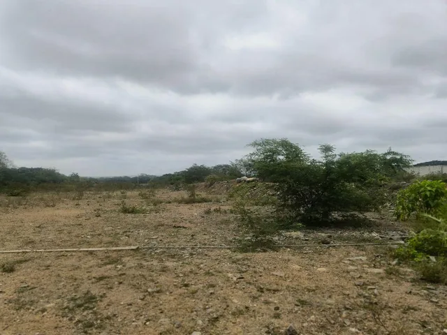 Vendo Terreno 15347 m Via a La Costa Al Pie de La Via, Guayas — imagen 4
