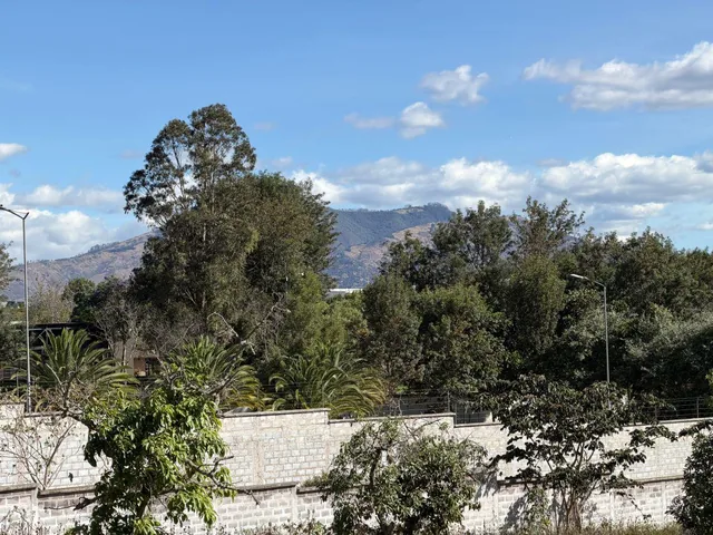 Terreno de 2000 m² en Venta en Puembo con 34 m de Frente — imagen 3