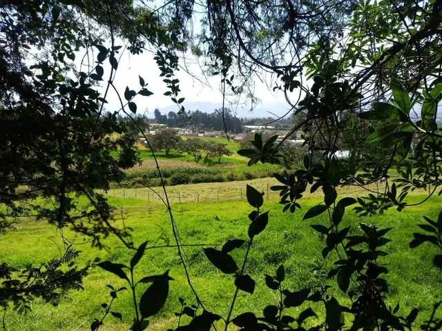 Oportunidad de Inversión, en un Paraiso Natural, Checa, Terreno Rural 24.406.39 m². Provincia de Pichincha — imagen 5