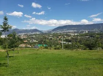 Vendo Hermoso Terreno en La Quinta Cumbayá por Colegio Menor! — imagen 5