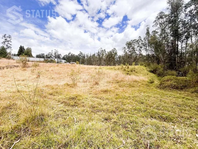 Venta de Terreno Sector La Macarena - Sobre La Av Vicente Ramón Roca — imagen 5