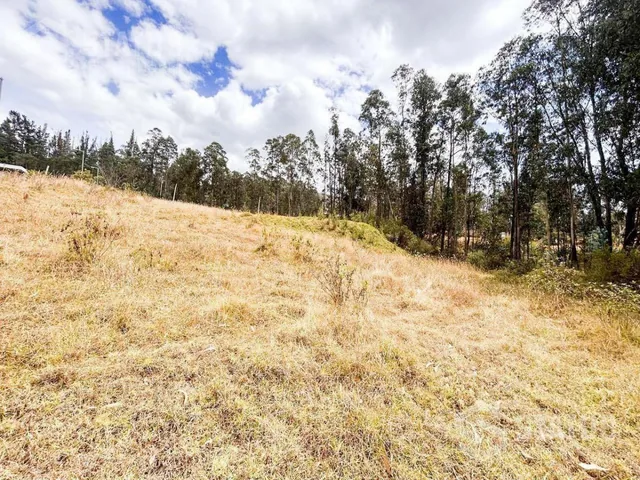 Venta de Terreno Sector La Macarena - Sobre La Av Vicente Ramón Roca — imagen 4