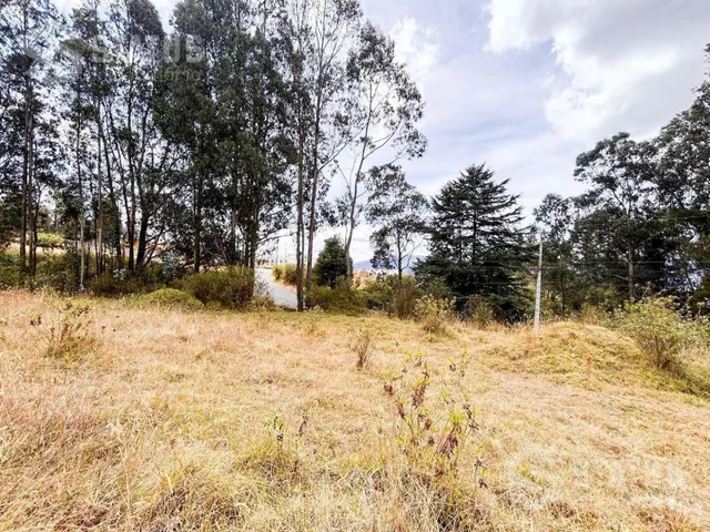 Venta de Terreno Sector La Macarena - Sobre La Av Vicente Ramón Roca — imagen 3