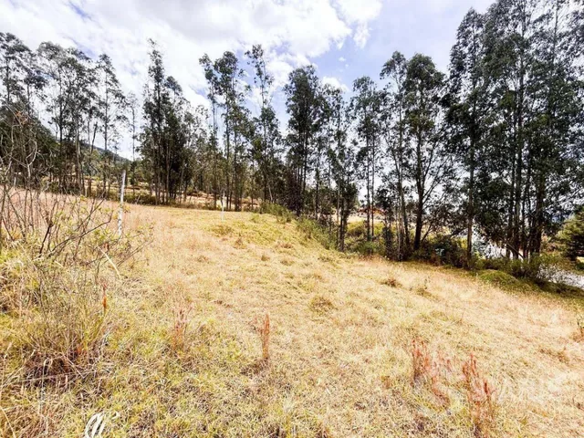 Venta de Terreno Sector La Macarena - Sobre La Av Vicente Ramón Roca — imagen 2