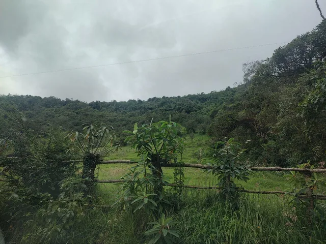 Invierte en Paz y Naturaleza! Terrenos Dentro de Santuario Natural. en Venta! — imagen 3
