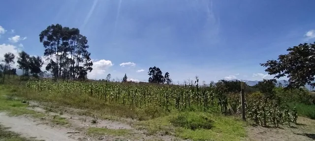 Terreno Esquinero de Venta en Malchingui — imagen 5