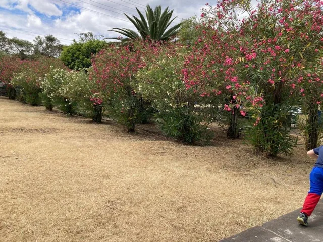 Terreno en Venta, Sector San Gabriel, Valle de Los Chillos — imagen 2