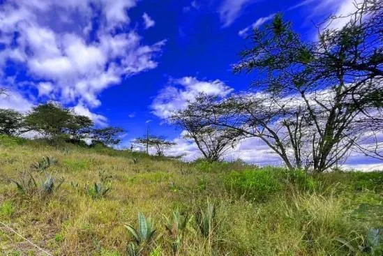 Terrenos de Venta en Urbanización Shalom, Puembo — imagen 4