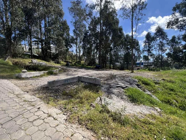 Terreno Industrial Esquinero de Alta Exposición — imagen 3