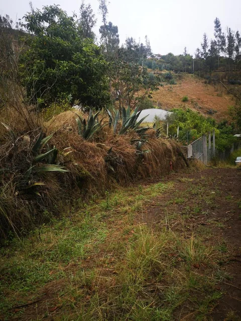 Vendo Terreno Comunal en Tumbaco Sector Ocaña — imagen 5