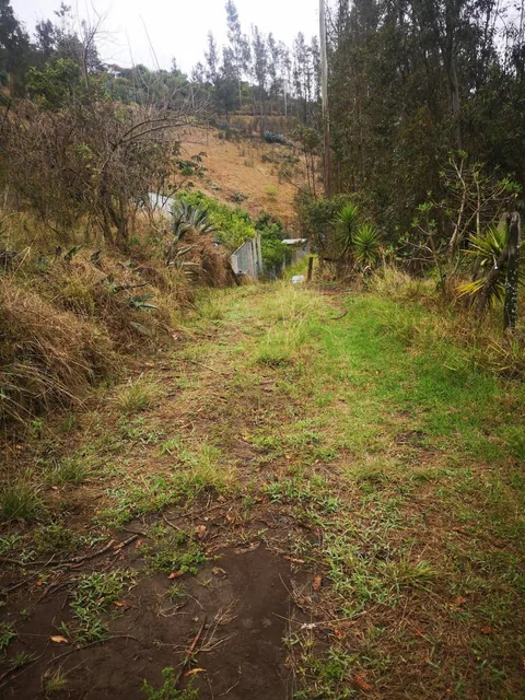 Vendo Terreno Comunal en Tumbaco Sector Ocaña — imagen 2