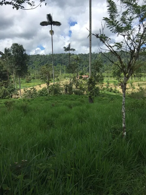 Venta Hermosa Hacienda 70 Has Ubicada en Los Bancos — imagen 3