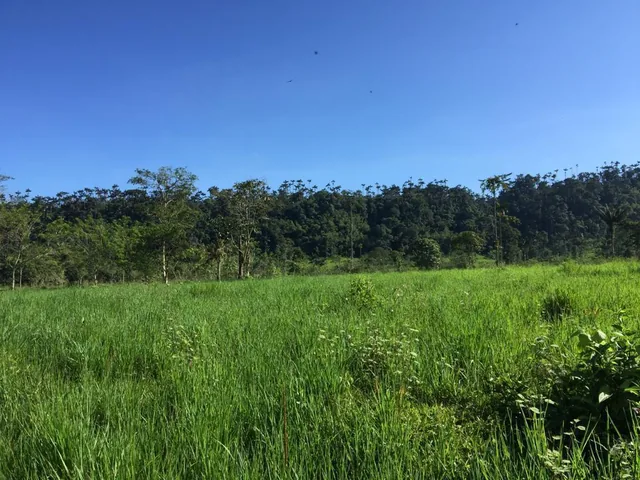 Venta Hermosa Hacienda 70 Has Ubicada en Los Bancos — imagen 2