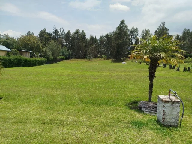 Terreno de 3866 m² en Venta en Tumbaco — imagen 5