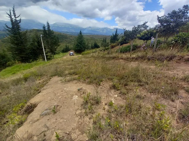 Venta de Terreno, Tumbaco, Tola Grande, Luzón — imagen 3