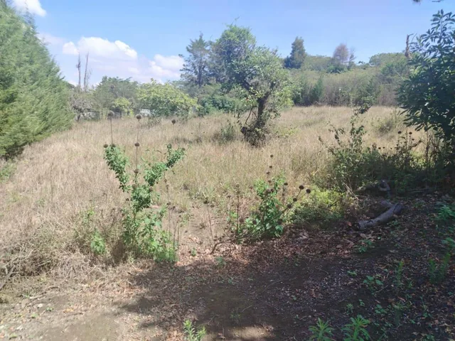 Terreno en Puembo — imagen 2