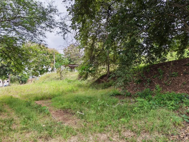 Venta Terreno Vía Jipijapa - Guayaquil. Recinto San Vicente. Vyj, Manabí — imagen 5