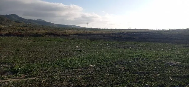 Terreno de Venta en Montecristi Zona Norte R/b, Manabí — imagen 5