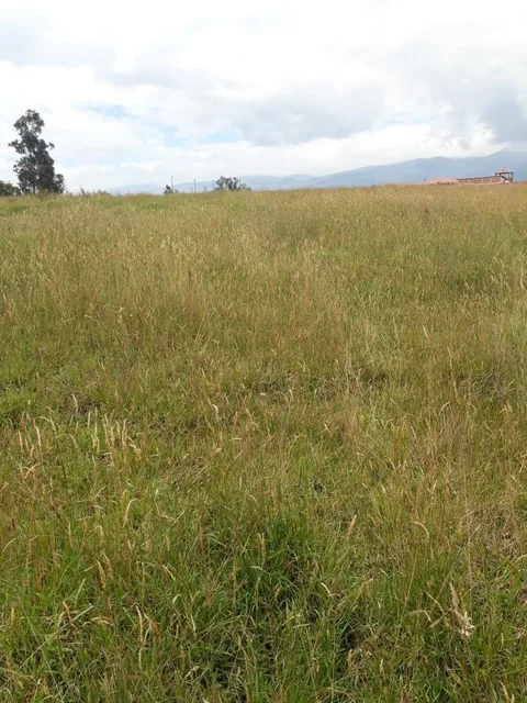 Vendo Terreno en Urbanizacion Sector Betania/los Chillos — imagen 4