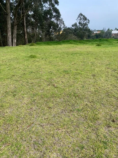 Vendo Hermosos Terrenos Planos Pifo Sector Andrango — imagen 2