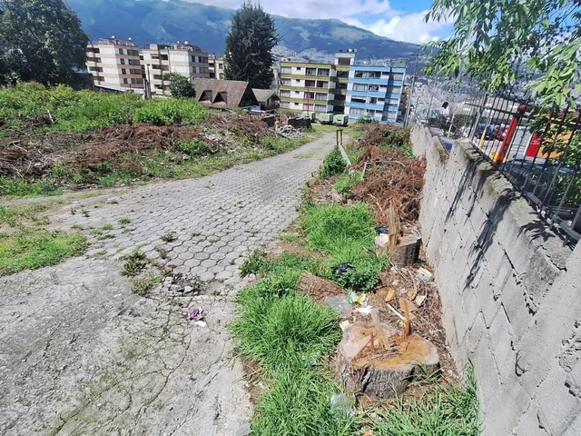 Renta o Venta Terreno Sobre La Av Galo Plaza Laso Inf Cbr Carla del Pino — imagen 5