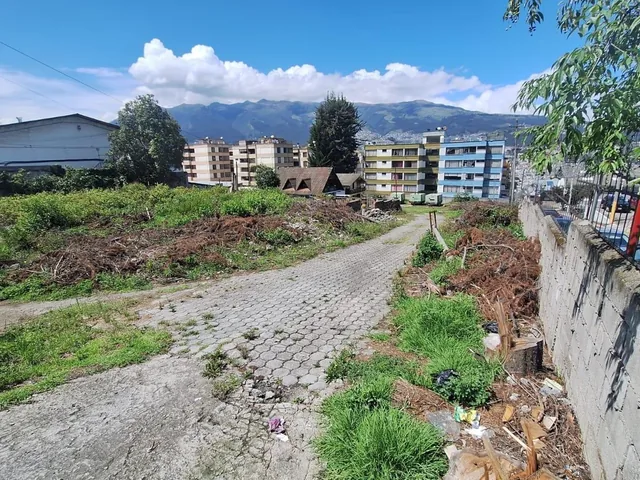 Renta o Venta Terreno Sobre La Av Galo Plaza Laso Inf Cbr Carla del Pino — imagen 4