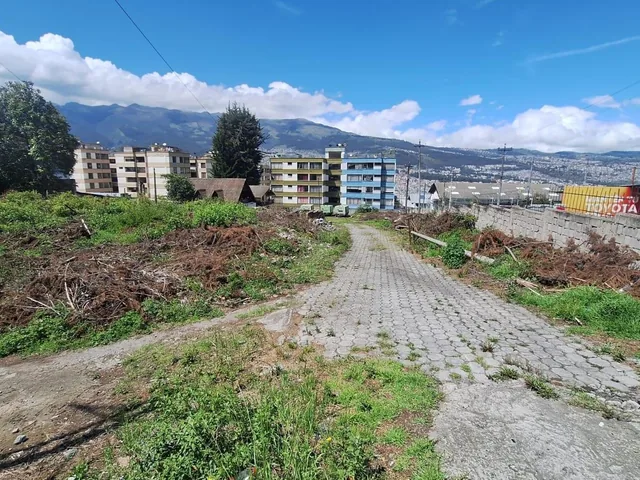 Renta o Venta Terreno Sobre La Av Galo Plaza Laso Inf Cbr Carla del Pino — imagen 2