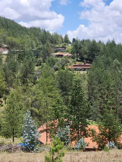 Venta de Terreno de 8 Hectáreas con Bosque de Pino en Tutupali, Azuay — imagen 2