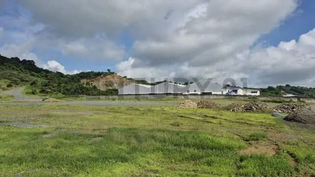 Venta de Macrolote Industrial de Alto Impacto en Petrillo – Nobol J. Zav, Guayas — imagen 4