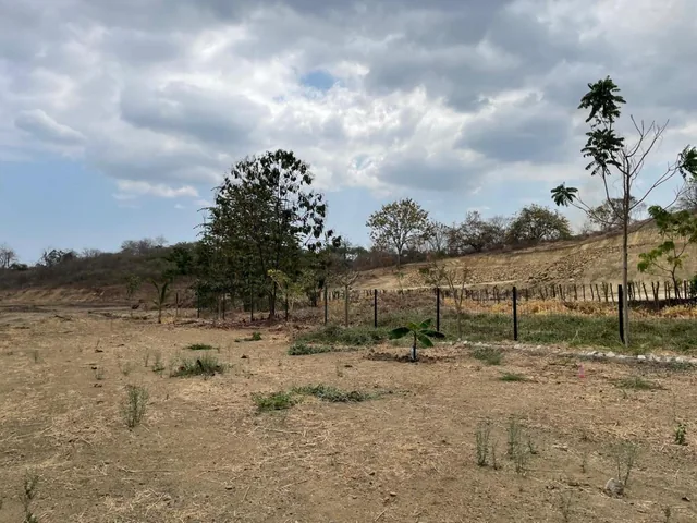 Lomas del Bosque Terreno en Venta Al Pie del Lago Via a La Costa, Guayas — imagen 5