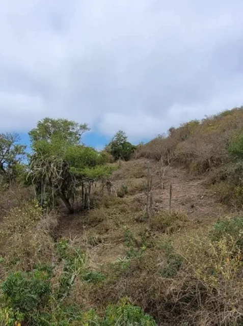 Terreno en Venta en Salango Ings, Manabí — imagen 2