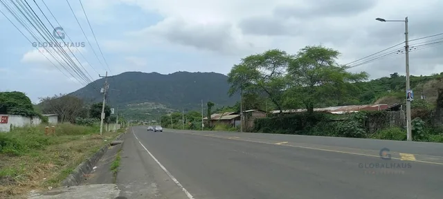 Venta de Terreno en Vía Montecristi Portoviejo, 33 Has. J. m. Manabí — imagen 5