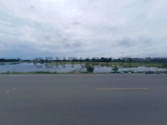 Vendo Terreno Desde 10,000 m² en Samborondon Cabecera Cant. Al Pie de Via Nueva, Guayas — imagen 4
