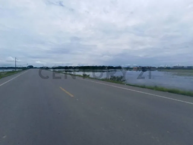 Vendo Terreno Desde 10,000 m² en Samborondon Cabecera Cant. Al Pie de Via Nueva, Guayas — imagen 2