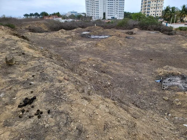 1000 m² Terreno en Loma de Punta Blanca a Pocos Pasos del Mar! — imagen 3