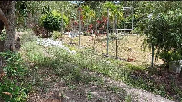Amplio Terreno en Venta Sector Patapata, Azuay — imagen 3