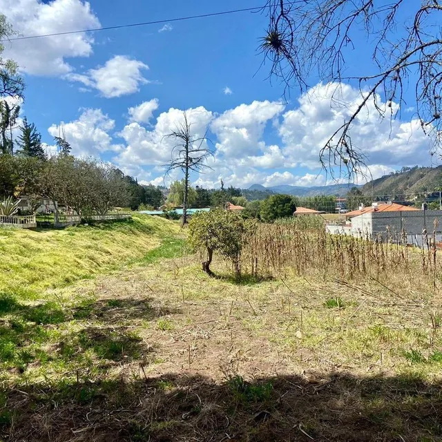Hermoso Terreno, Sector Zhullin (1 Hectarea) — imagen 5