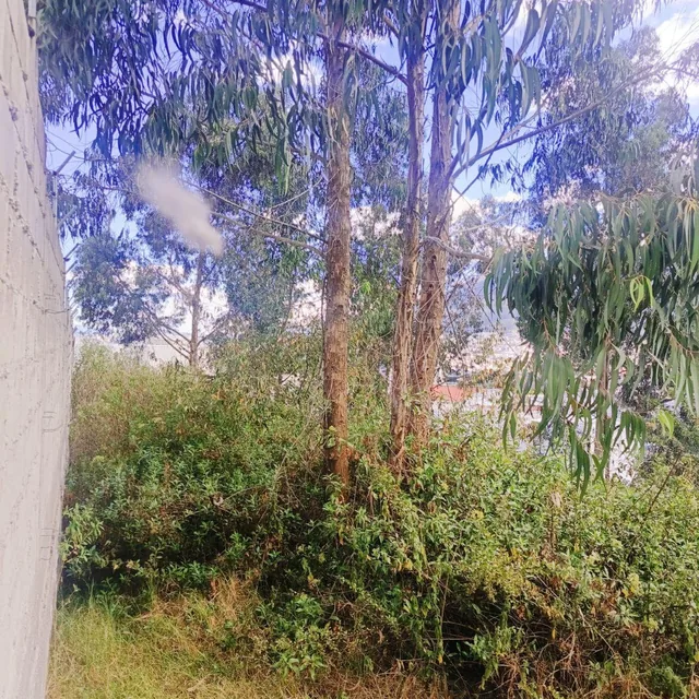 Terreno en Venta – Santa Lucía Alta, Kennedy Norte | Quito — imagen 3