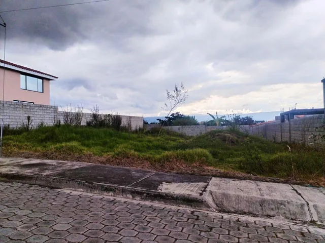 Terreno en Venta Dentro de Urbanización Sector El Colibri — imagen 5