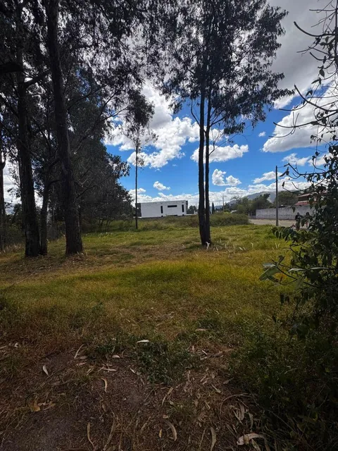 Terreno Plano, San Pedro Taboada, Urbanización Capelo, 853 m². Valle de Los Chillos. Precio $164.000 — imagen 4