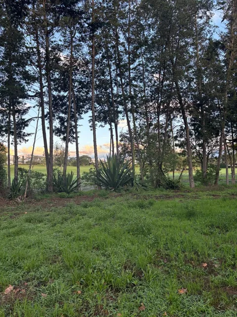Terreno en Arrayanes Country Club - Precio Negociable — imagen 2
