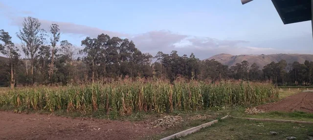 Cayambe - Terreno en Venta - Sector Geodésico Mitad del Mundo — imagen 2