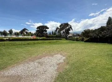 Terreno en Tumbaco — imagen 3
