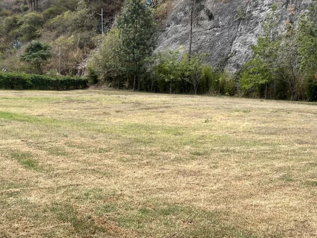 Venta Terreno en Cumbaya en Urbanización Exclusiva — imagen 4