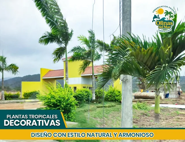 Terrenos en Puerto Cayo a 1,5 Km de La Playa | Urbanización Privada | Financiamiento Hasta 80 Meses, Manabí — imagen 3