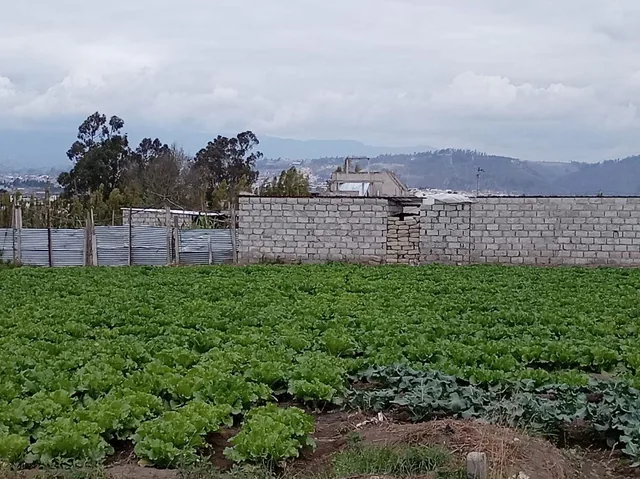 Terreno Plano de 875 m en El Sector Izamba. Tungurahua — imagen 4