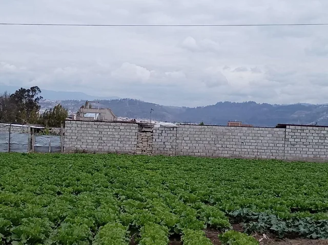 Terreno Plano de 875 m en El Sector Izamba. Tungurahua — imagen 3