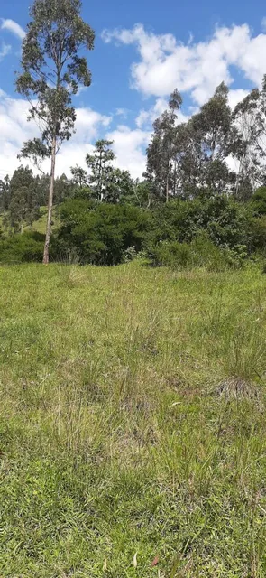 Terreno en Venta 3.9 Ha El Inga - Pifo - Pichincha — imagen 5